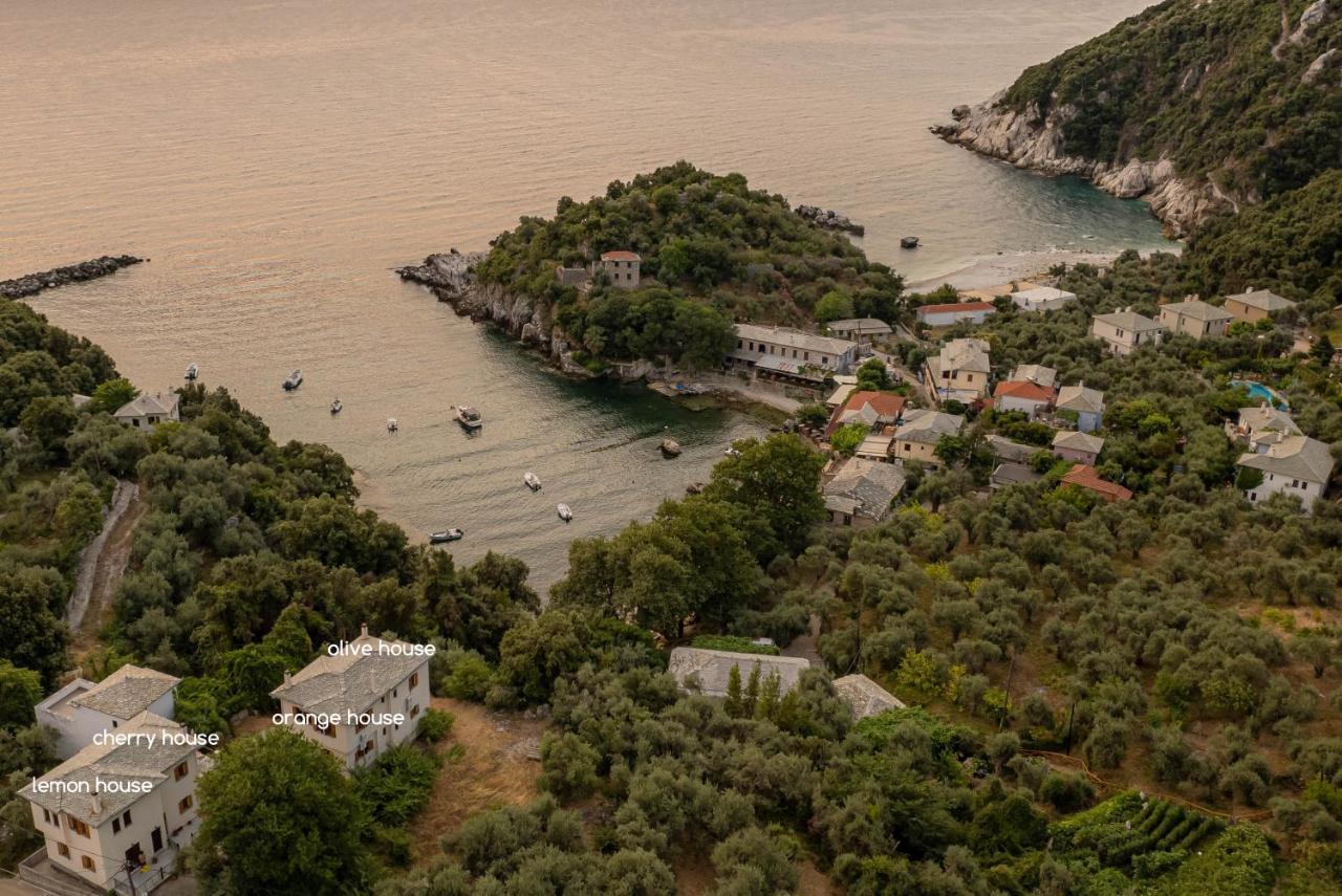 Olive House In With A Sea View - Delicious Tatil Evi *
